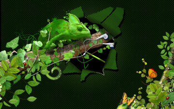 Картинка разное компьютерный дизайн