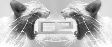 Картинка разное компьютерный дизайн