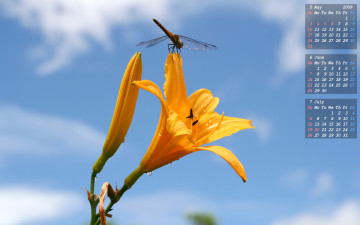 Картинка календари цветы