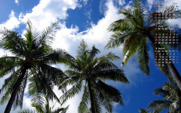 Картинка календари природа