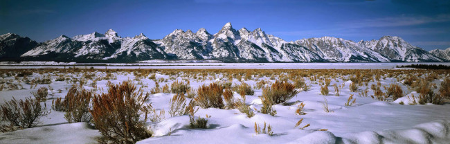 Обои картинки фото природа