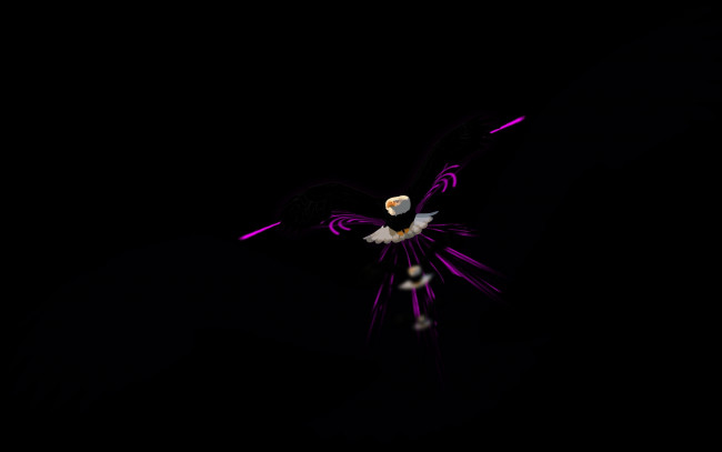 Обои картинки фото 3д, графика, animals, животные, орел