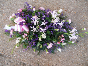 Картинка цветы букеты композиции гвоздики букет бант