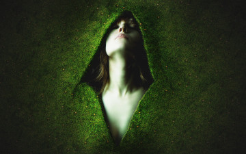 Картинка разное компьютерный дизайн графика