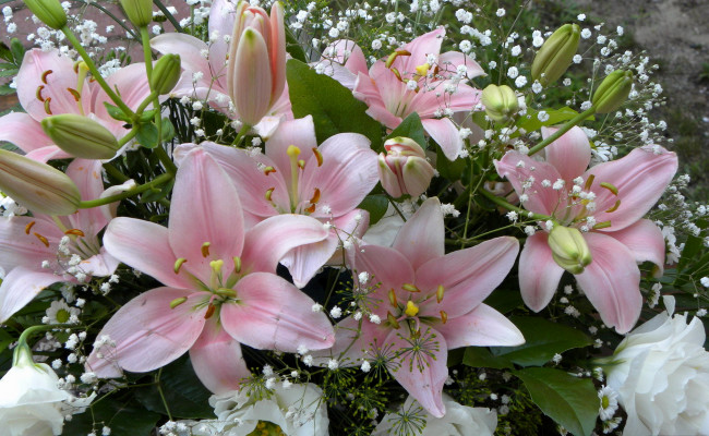 Обои картинки фото цветы, лилии, лилейники, розовые, букет
