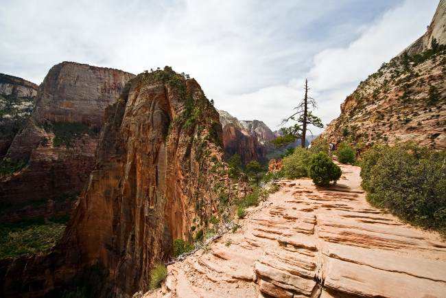 Обои картинки фото zion, national, park, usa, utah, природа, горы, кусты, дорожка