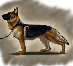 Картинка рисованные животные собаки собака