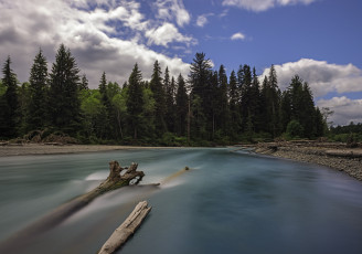 Картинка hoh river olympic national park washington природа реки озера лес река хох национальный парк олимпик