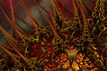 Картинка 3д графика fractal фракталы цвет фон узор