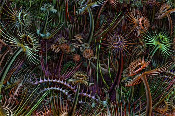 Картинка 3д графика fractal фракталы фон цвет узор