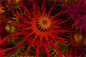 Картинка 3д графика fractal фракталы фон узор цвет