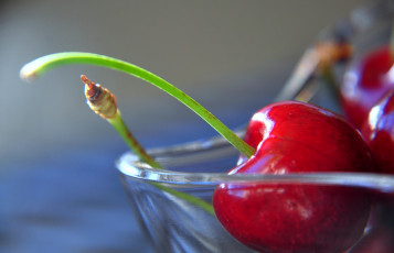 Картинка еда вишня черешня макро