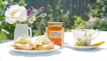 Картинка еда натюрморт букет пирожное настроение джем чашка крыжовник