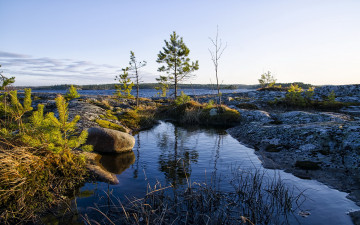 Картинка природа реки озера камни лужа трава озеро