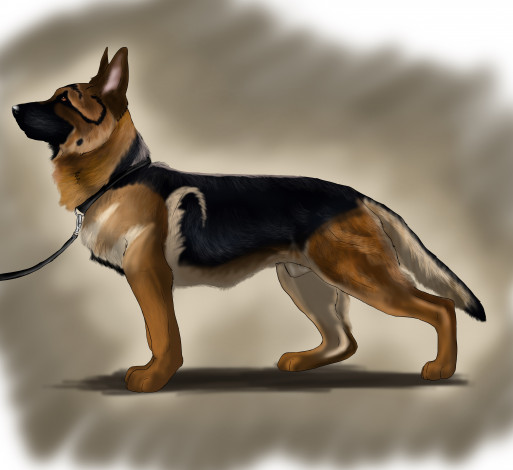 Обои картинки фото рисованные, животные, собаки, собака