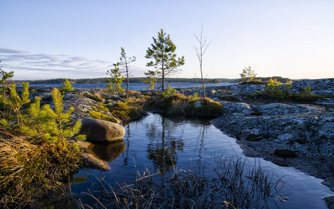 Обои картинки фото природа, реки, озера, камни, лужа, трава, озеро