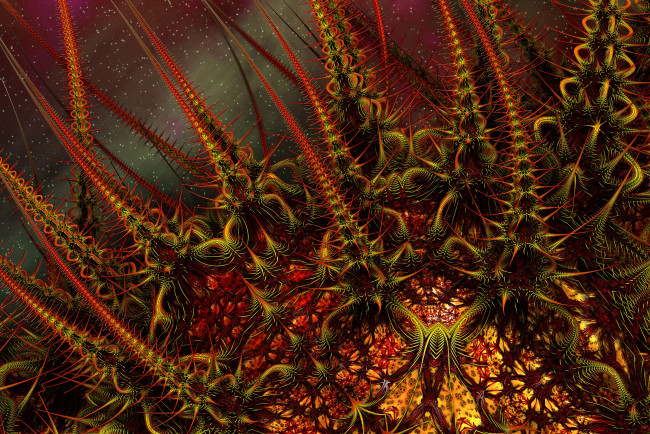 Обои картинки фото 3д, графика, fractal, фракталы, цвет, фон, узор