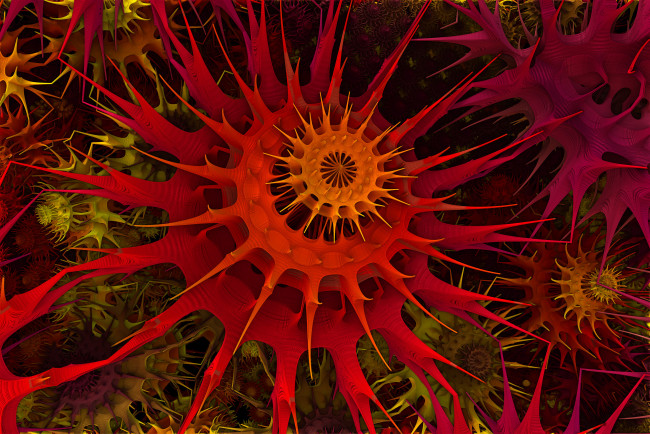 Обои картинки фото 3д, графика, fractal, фракталы, фон, узор, цвет