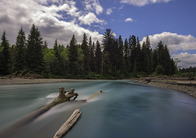 Обои картинки фото hoh, river, olympic, national, park, washington, природа, реки, озера, лес, река, хох, национальный, парк, олимпик