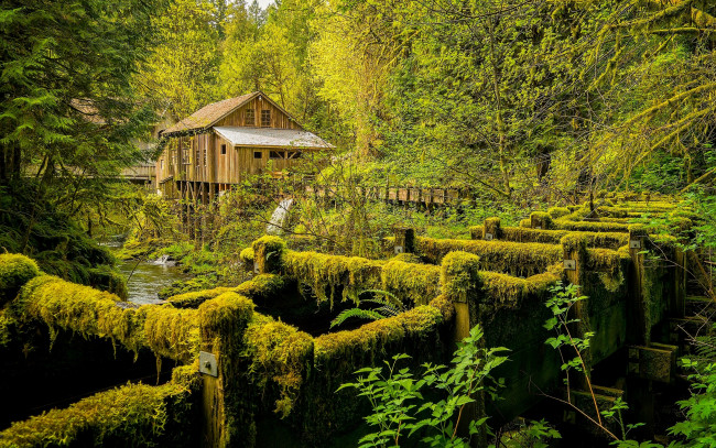 Обои картинки фото cedar creek grist mill,  washington state, разное, мельницы, лес, мельница