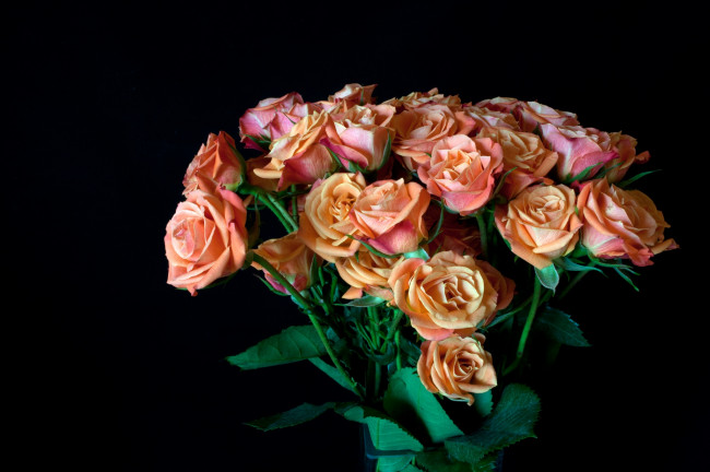 Обои картинки фото цветы, розы, букет