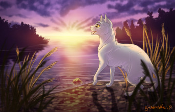 Картинка рисованное животные +коты закат озеро фон взгляд кот