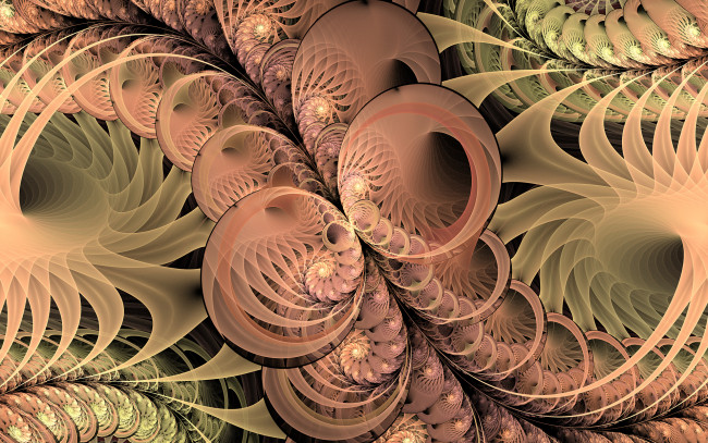 Обои картинки фото 3д графика, фракталы , fractal, цвета, фон, узор