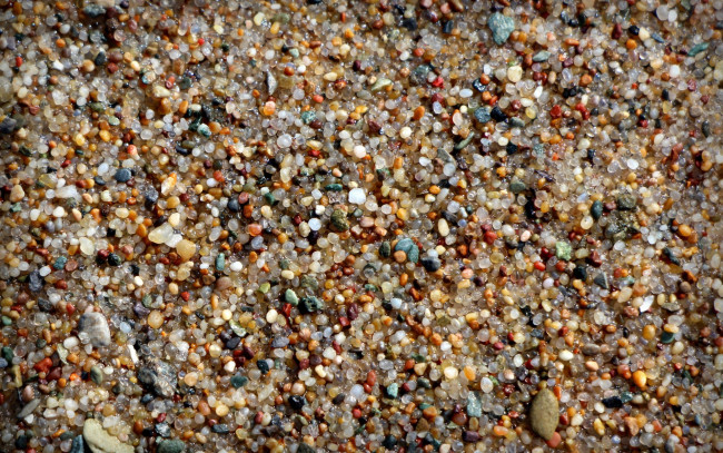 Обои картинки фото разное, ракушки,  кораллы,  декоративные и spa-камни, мелкие, камушки