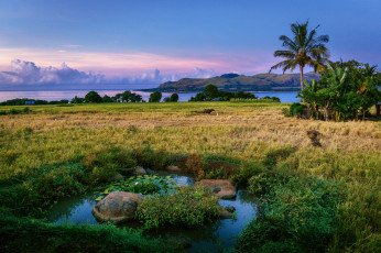 Картинка природа тропики побережье