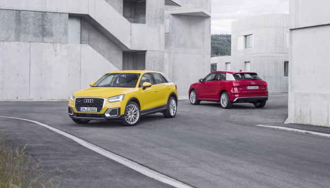 Обои картинки фото автомобили, audi, 2016г, q2