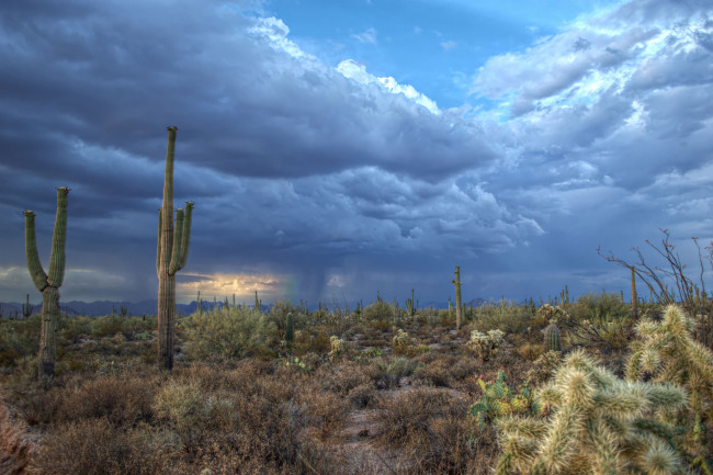 Обои картинки фото природа, стихия, шторм