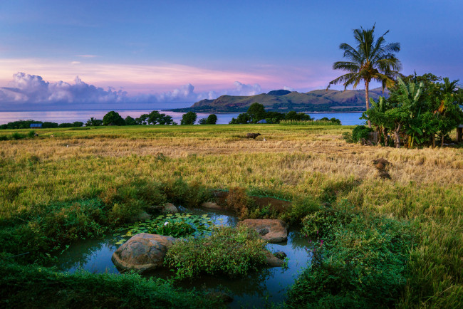 Обои картинки фото природа, тропики, побережье