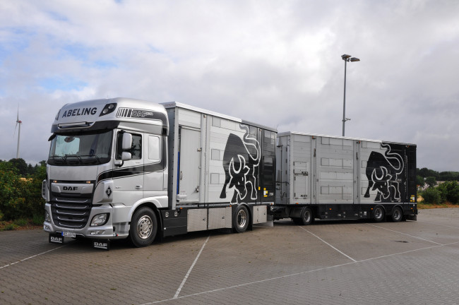 Обои картинки фото автомобили, daf , выставка, улица, седельный, грузовик, тягач