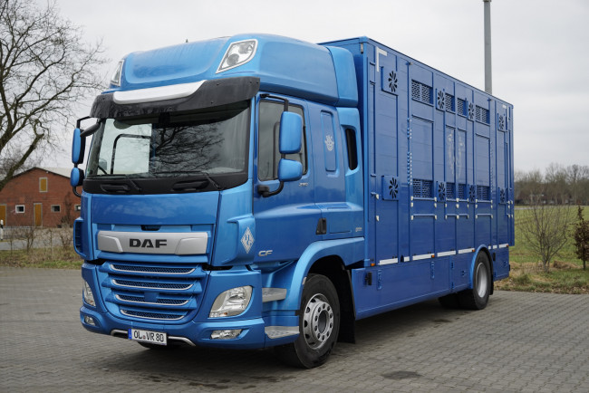 Обои картинки фото автомобили, daf , выставка, улица, тягач, седельный, грузовик