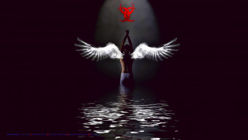 Картинка календари 3д-графика черный силуэт крылья 2019 calendar водоем