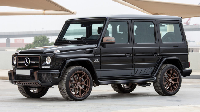 Обои картинки фото mercedes benz g65 2018, автомобили, mercedes-benz, mercedes, benz, g65, 2018, крутой, парень, из, германии