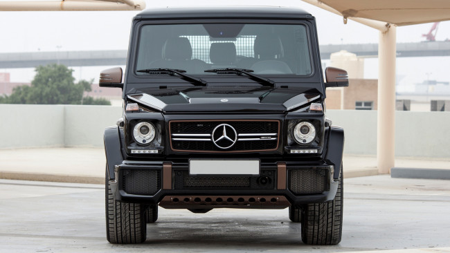 Обои картинки фото mercedes benz g65 2018, автомобили, mercedes-benz, mercedes, benz, g65, 2018, крутой, парень, из, германии