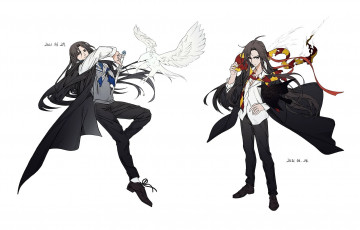 Картинка аниме mo+dao+zu+shi вэй усянь лань ванцзы птицы меч равенкло гриффиндор