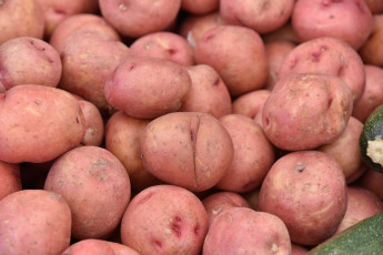 Картинка еда картофель красный клубни