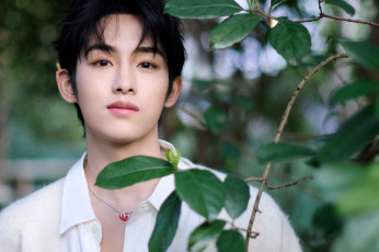 обоя winwin- dong si cheng, мужчины, -unsort, актер, рубашка, ветки