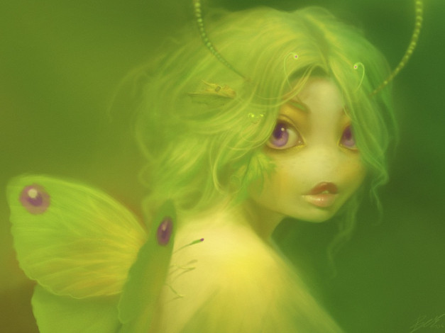 Обои картинки фото эльф, фэнтези, феи