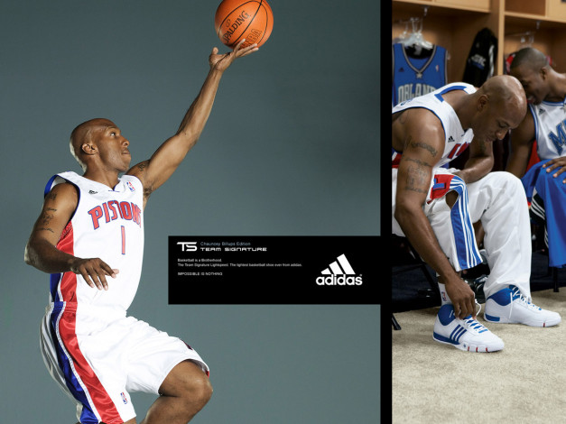 Обои картинки фото бренды, adidas