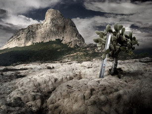 Картинка юмор приколы