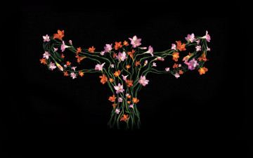 Картинка юмор приколы