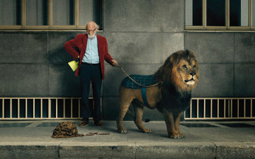 Картинка юмор приколы