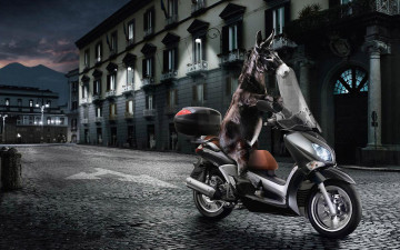 Картинка юмор приколы