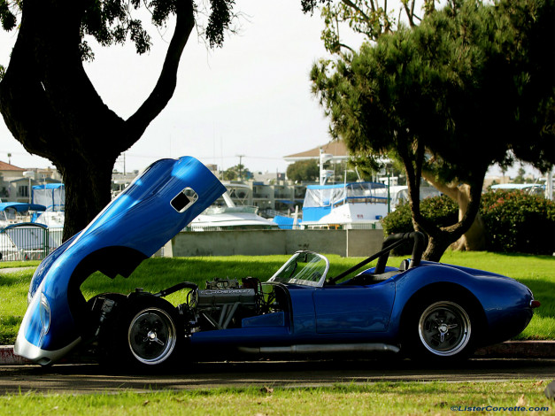 Обои картинки фото автомобили, ac, cobra, shelby