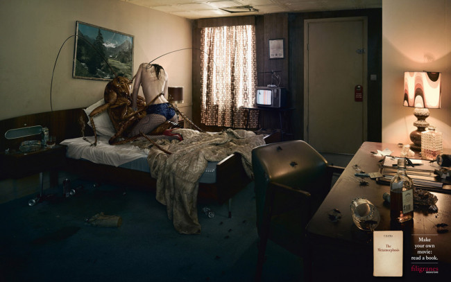 Обои картинки фото юмор, приколы