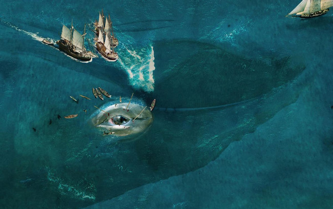 Обои картинки фото юмор, приколы