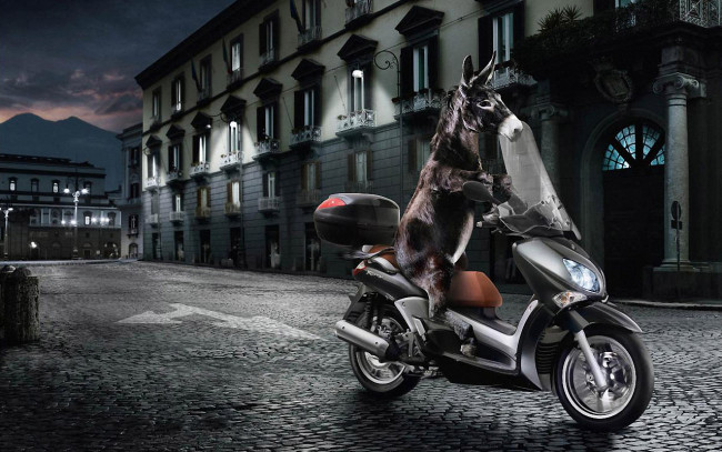 Обои картинки фото юмор, приколы